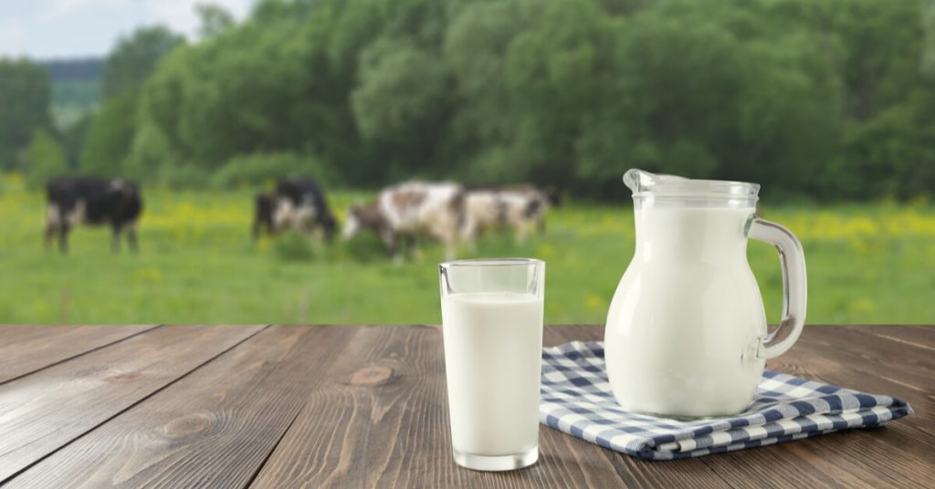 Émissions de gaz à effet de serre : les géants du lait et de la viande champions du greenwashing