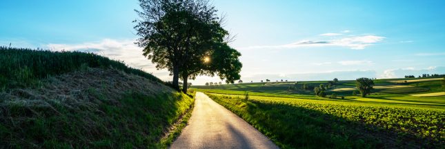 neutralité carbone scénarios