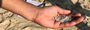 Billes de plastique ou 'nurdles' : une bombe à retardement pour les océans