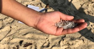 Billes de plastique ou 'nurdles' : une bombe à retardement pour les océans Billes de plastique ou 'nurdles' : une bombe à retardement pour les océans