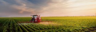 Les Français toujours exposés à des pesticides interdits depuis 20 ans