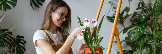 entretien orchidée