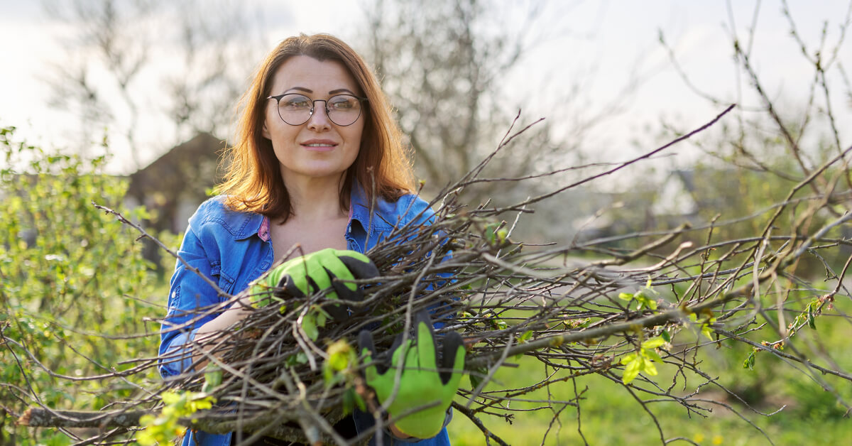 Taille des arbres et buissons au jardin : quand et comment s'y prendre ?