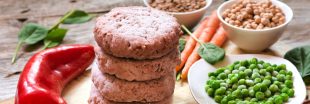 Pas de viande mais trop de sel dans les produits simili carnés