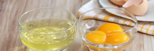 conservation blanc d'oeuf