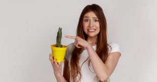 Cactus de la consommation : ces entreprises qui ont bafoué les droits des consommateurs en 2025