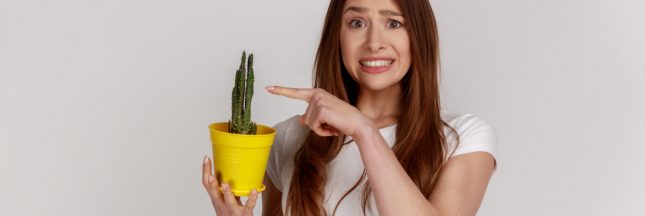 cactus de la consommation 2021