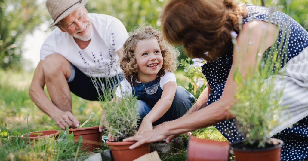 Jardin – Nos astuces et conseils les plus lus en 2021