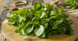 Cuisinez les légumes de saison en janvier : le panier AMAP Cuisinez les légumes de saison en janvier : le panier AMAP