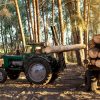 Déforestation : 1 multinationale sur 3 n'a aucun engagement en faveur des forêts