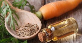 Le macérât de carotte, l’huile bonne mine et teint halé au naturel Le macérât de carotte, l’huile bonne mine et teint halé au naturel