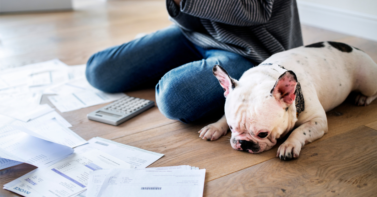 Prélèvement à la source : évitez de payer trop ! Prélèvement à la source : évitez de payer trop !