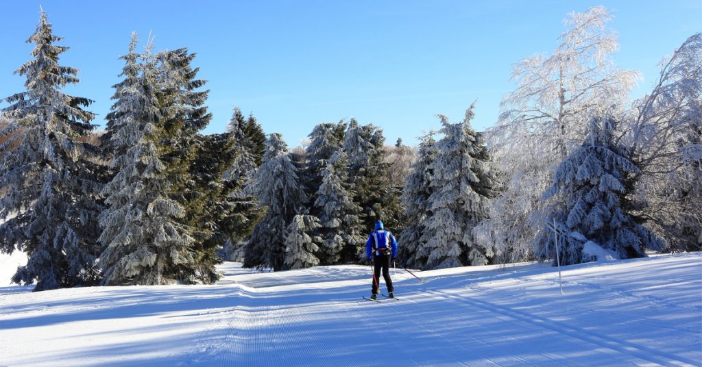 Campagne ‘Quiétude attitude’ : en montagne respectons les animaux sauvages