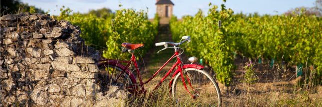 130 itinéraires zéro carbone