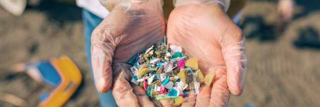 accord pollution plastique