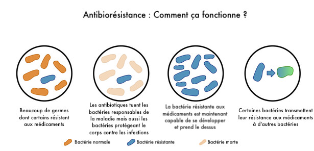 antibiorésistance mortalité