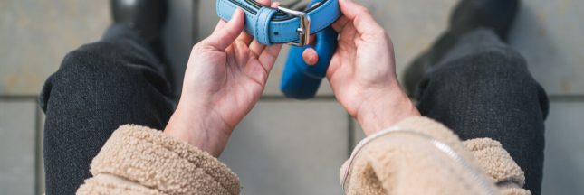 enterré avec son animal