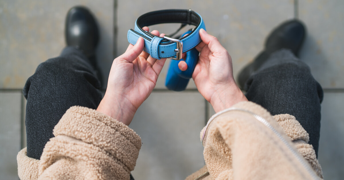 Se faire enterrer avec son animal pourrait bientôt être possible Se faire enterrer avec son animal pourrait bientôt être possible