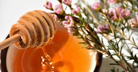 Faux miels bio : les apiculteurs crient au scandale