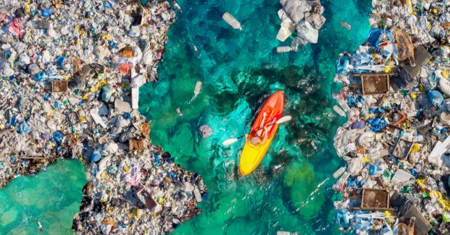 La contamination des océans par le plastique est irréversible selon le WWF