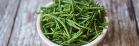 La salicorne, une plante marine aux nombreux bienfaits La salicorne, une plante marine aux nombreux bienfaits
