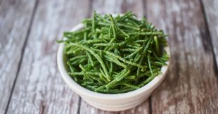 La salicorne, une plante marine aux nombreux bienfaits