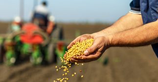 Subventions publiques : au moins 1800 milliards alloués à la destruction de la biodiversité Subventions publiques : au moins 1800 milliards alloués à la destruction de la biodiversité