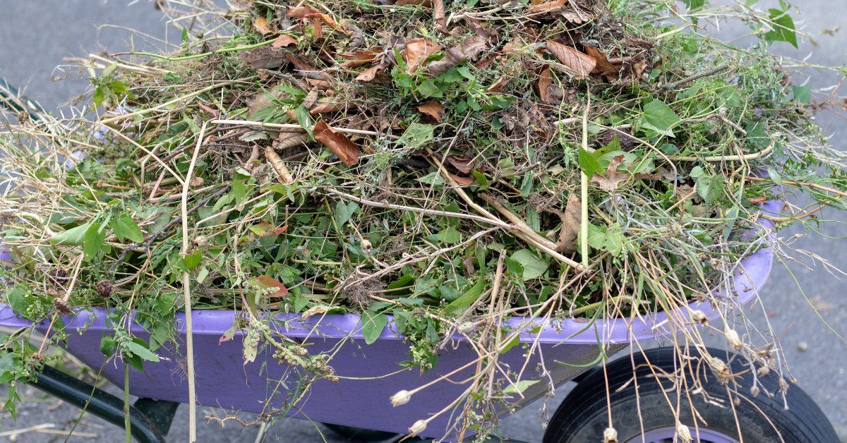 Ne brulez plus vos déchets verts : ils valent de l’or au jardin