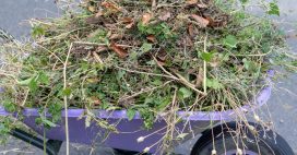 Ne brulez plus vos déchets verts : ils valent de l’or au jardin