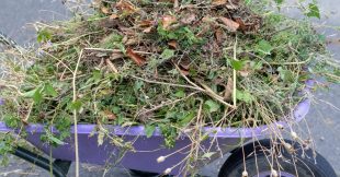 Ne brulez plus vos déchets verts : ils valent de l'or au jardin Ne brulez plus vos déchets verts : ils valent de l'or au jardin
