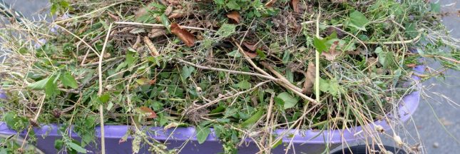 déchets verts
