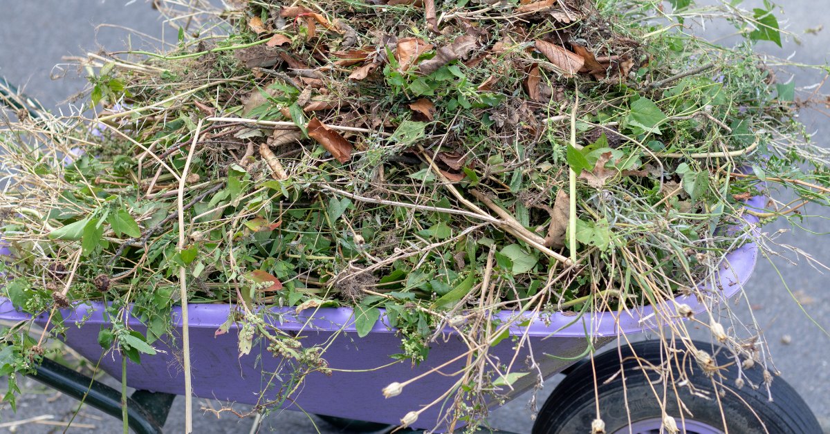 Ne brulez plus vos déchets verts : ils valent de l'or au jardin