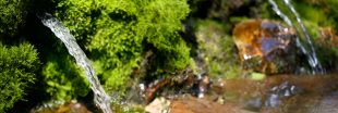 Journée mondiale de l'eau - Zoom sur les eaux souterraines
