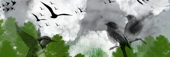 Engie gaspillage gaz naturel