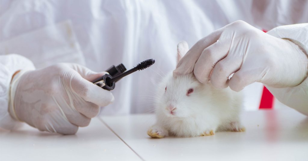 Cosmétiques : PETA appelle à une interdiction effective des expérimentations animales