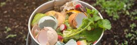 Faire un compost, un guide simple pour réussir au jardin et balcon