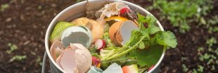 Faire un compost, un guide simple pour réussir au jardin et balcon