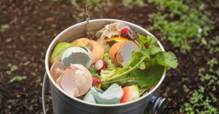 Faire un compost, un guide simple pour réussir au jardin et balcon Faire un compost, un guide simple pour réussir au jardin et balcon