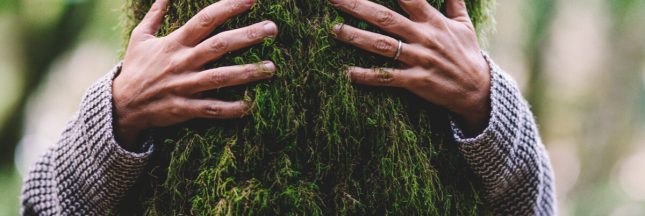 greenwashing institution