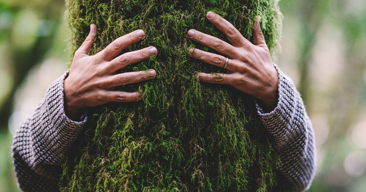 Décret neutralité carbone : vers un greenwashing institutionnalisé ?