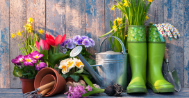 Jardiner en avril : jardin et potager au printemps