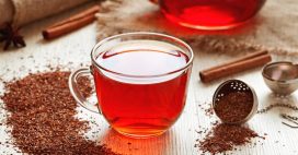 Le Rooibos, le vrai faux thé rouge
