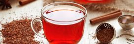 Le Rooibos, le vrai faux thé rouge