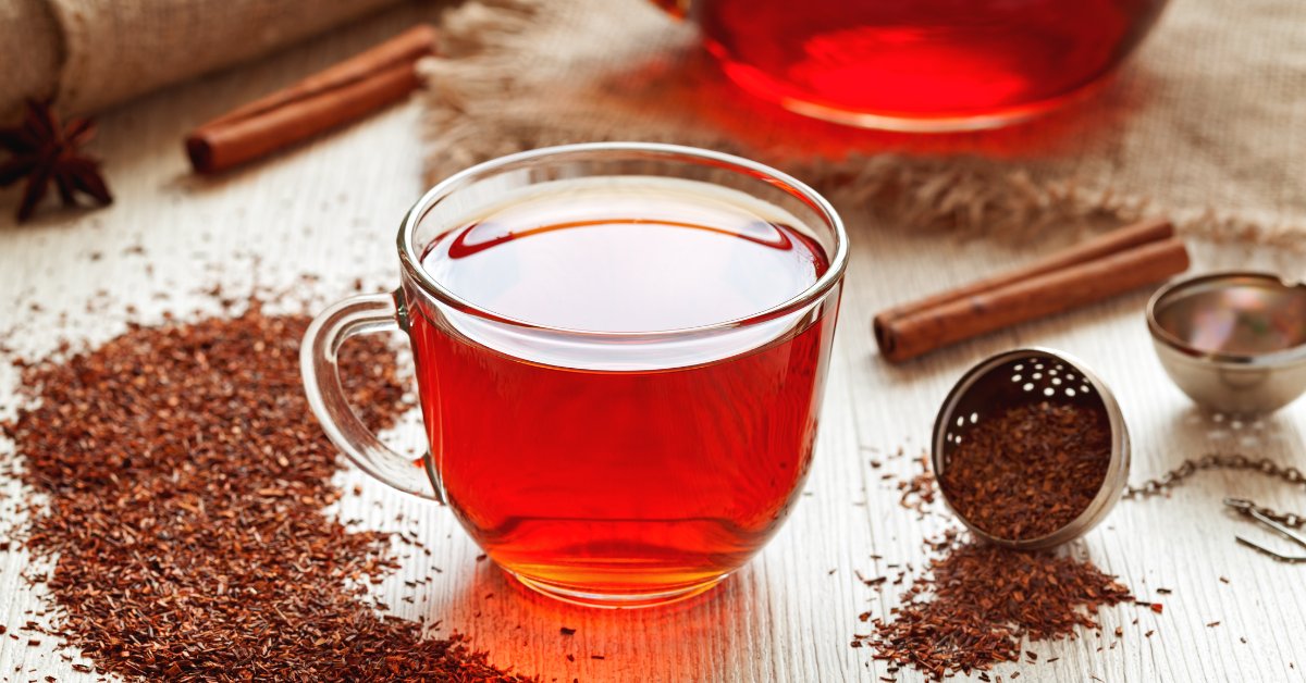 Le Rooibos, le vrai faux thé rouge Le Rooibos, le vrai faux thé rouge