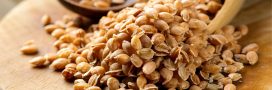 Le sarrasin, la nouvelle star des céréales ?