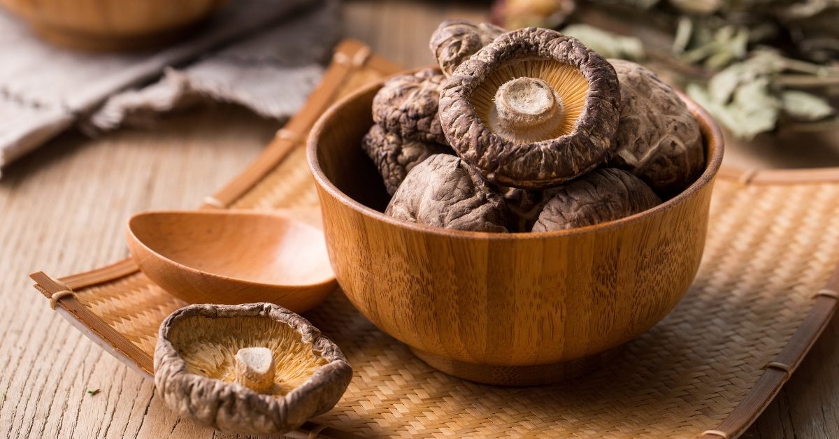 Le shiitaké, champignon élixir de longue vie