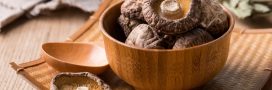 Shiitaké : ce champignon aux puissants bienfaits santé