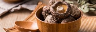 Le shiitaké, champignon élixir de longue vie