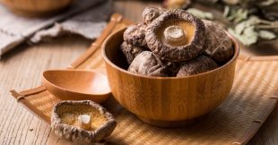 Shiitaké : ce champignon aux puissants bienfaits santé
