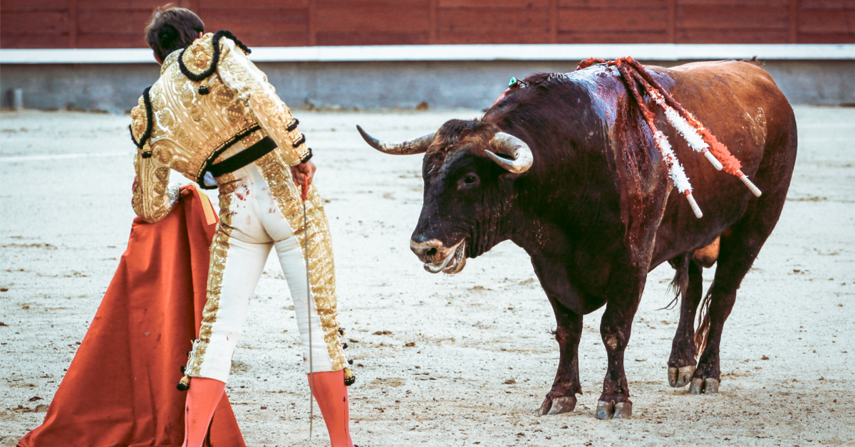 Malgré la controverse, la tauromachie reste subventionnée par l'Union européenne